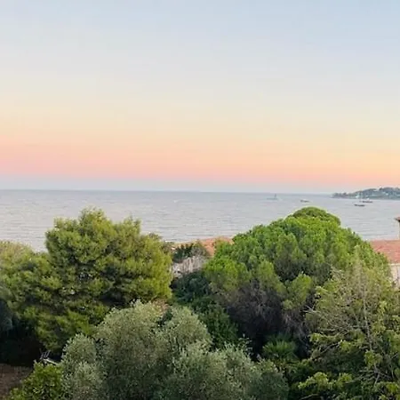 Premium Penthouse With Panoramic Sea View Beaulieu-sur-Mer